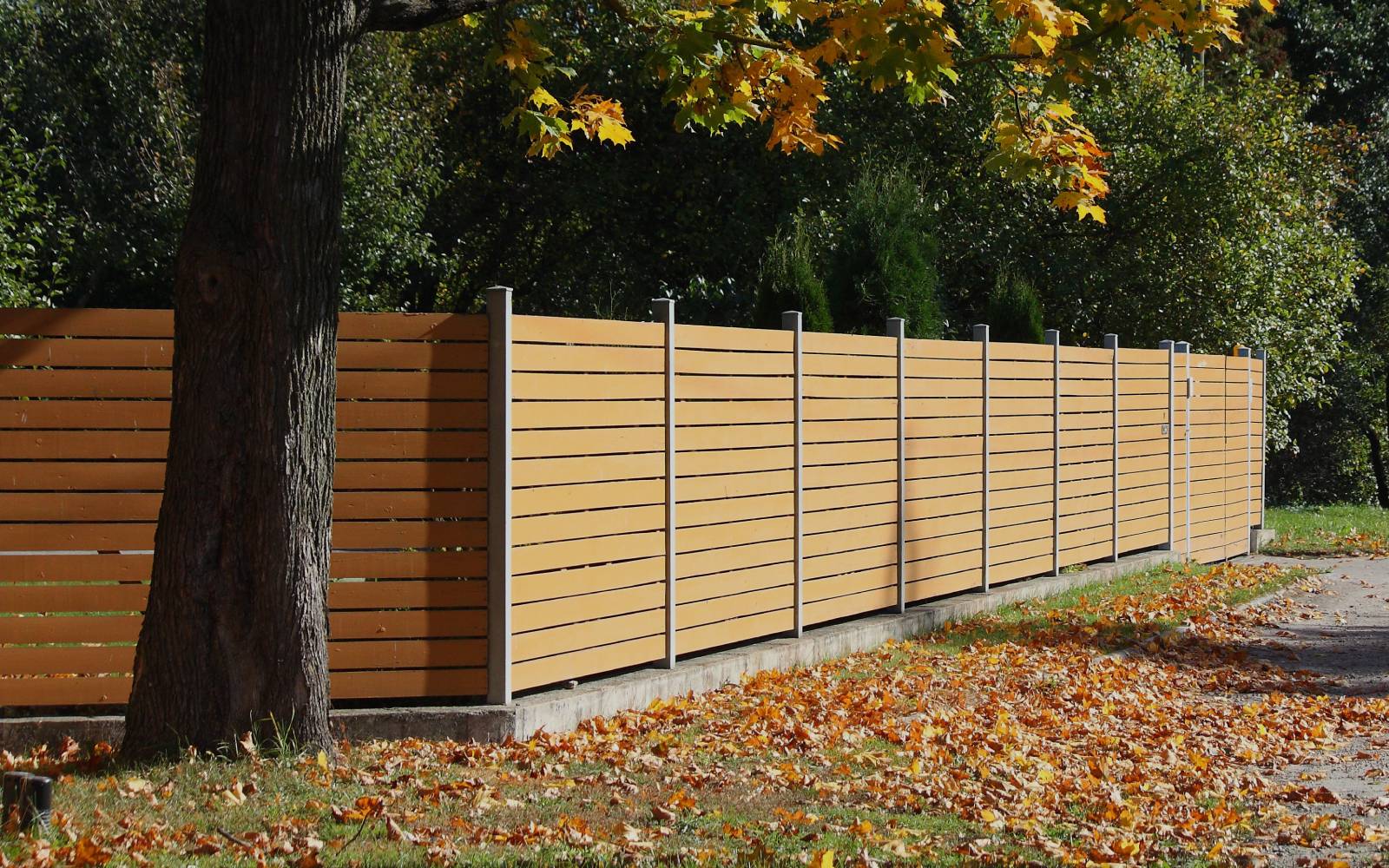 Fence Services